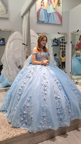Light Blue Lace Quinceanera dress, 3D FLowers Sweet 16 ball gowns
