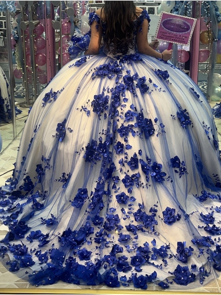 Princess Royal Blue Vestidos De 15 Quinceanera Dresses 3D Floral Crystals - MyChicDress