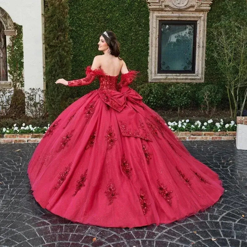 Dark Red Vestidos De 15 Anos Quinceanera Dresses with Sleeve Feather
