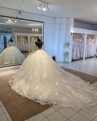 Ball Gown Long Sleeves Wedding Dress Lace Appliques with Long Train