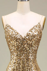 Gold sequin dress