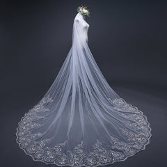 Hot Tulle Lace Applique Edge Cheap Wedding Veil with Sequined 3MX3M