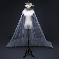 Hot Tulle Lace Applique Edge Cheap Wedding Veil with Sequined 3MX3M